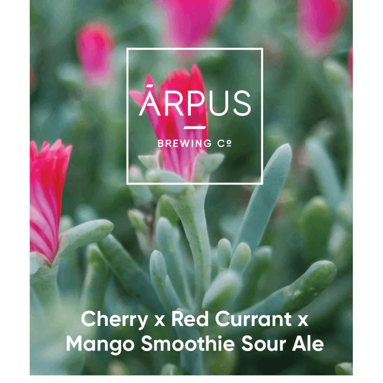 Arpus Cherry x Mango x Red Currant Smoothie Sour Ale 440ml (4.5%) - Image 2