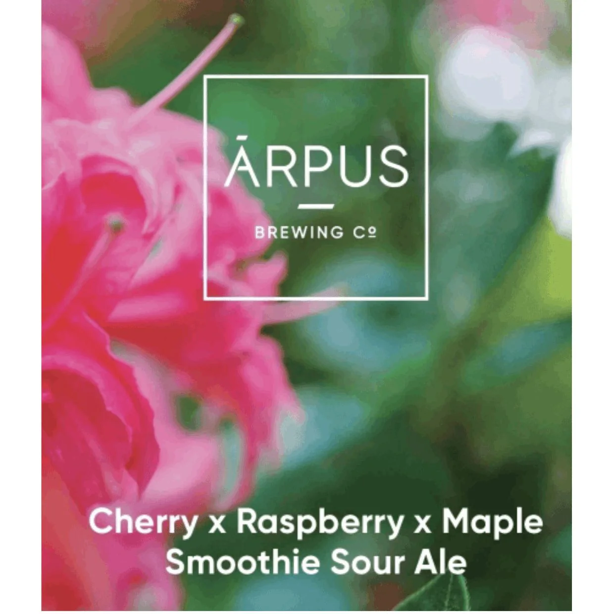 Arpus Cherry x Raspberry x Maple Smoothie Sour 440ml (3.5%) - Image 2