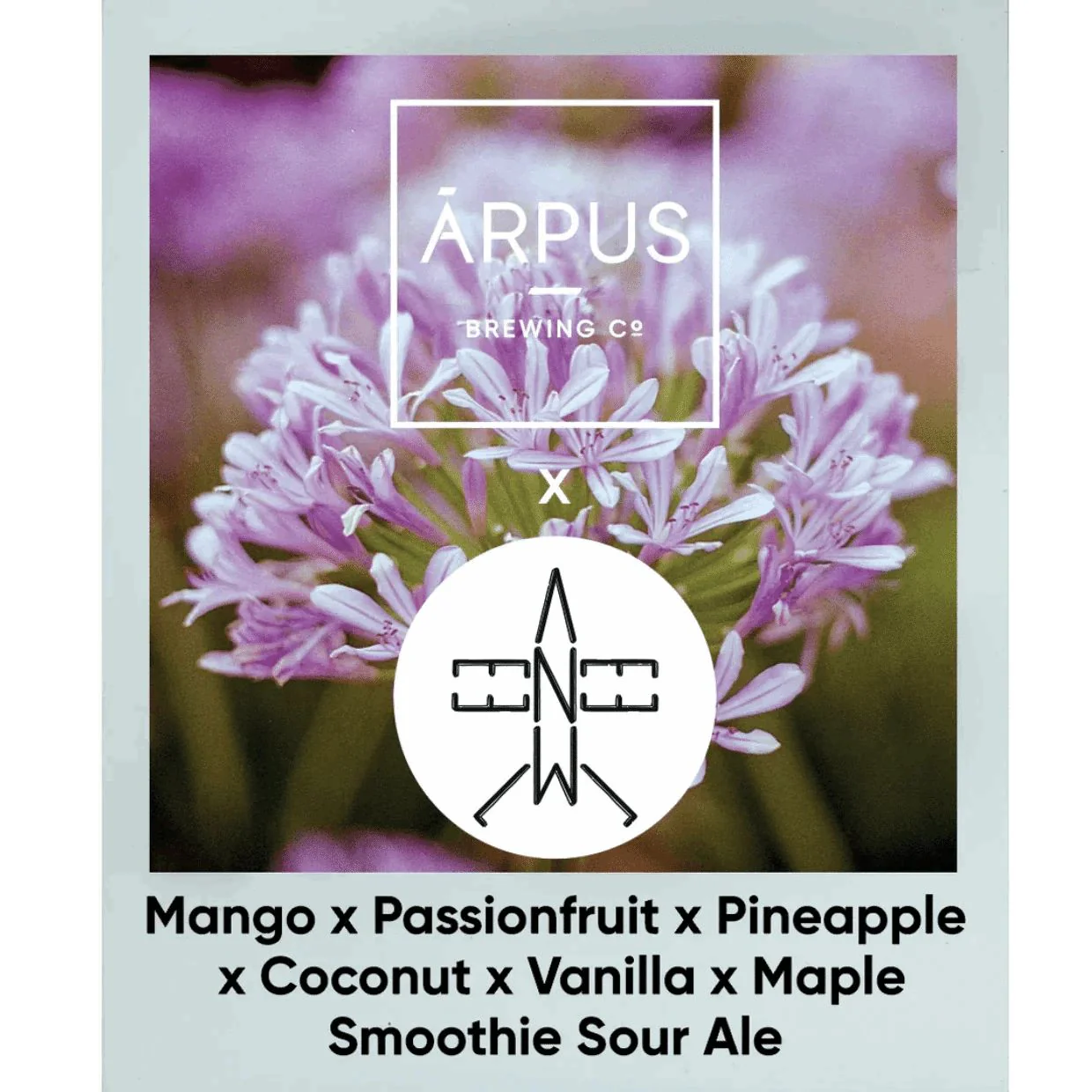 Arpus Elmeleven Mango x Passionfruit x Pineapple X Coconut x Vanilla x Maple Smoothie Sour Ale 440ml (4.5%) - Image 2