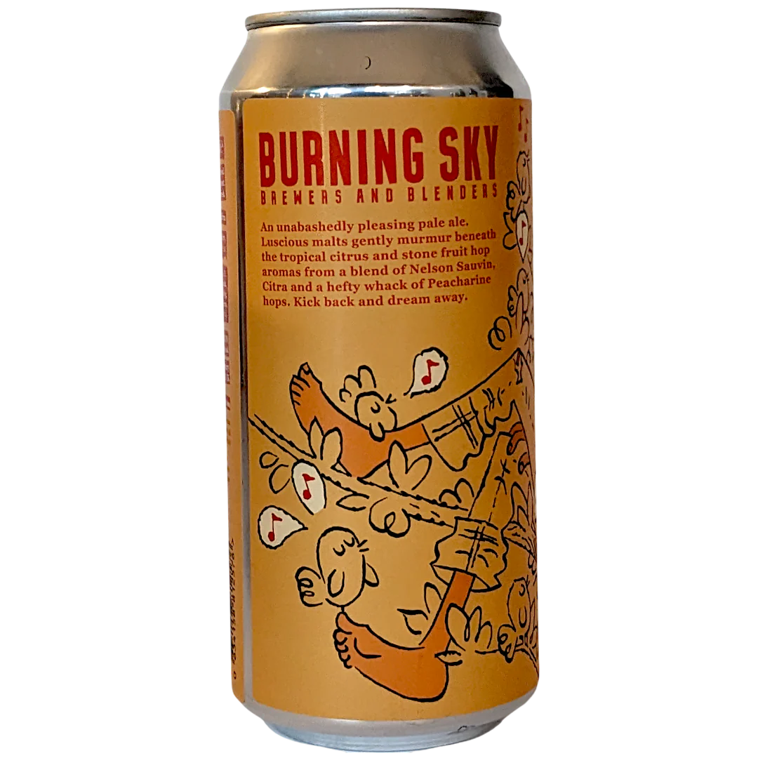 Burning Sky Just Peachy Pale Ale 440ml (4.8%) - Image 2