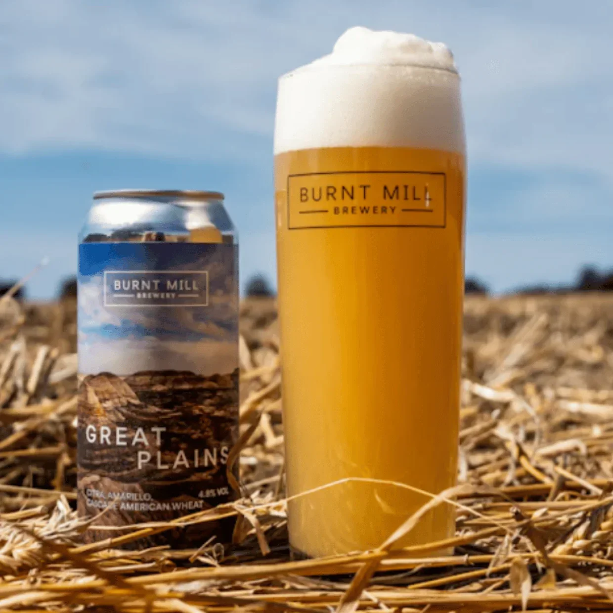Burnt Mill Great Plains American Wheat Beer 440ml (4.8%) - Image 2