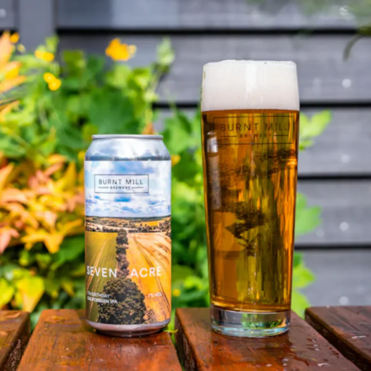 Burnt Mill Silver Falls West Coast Pale Ale 440ml (5.5%) - Image 2