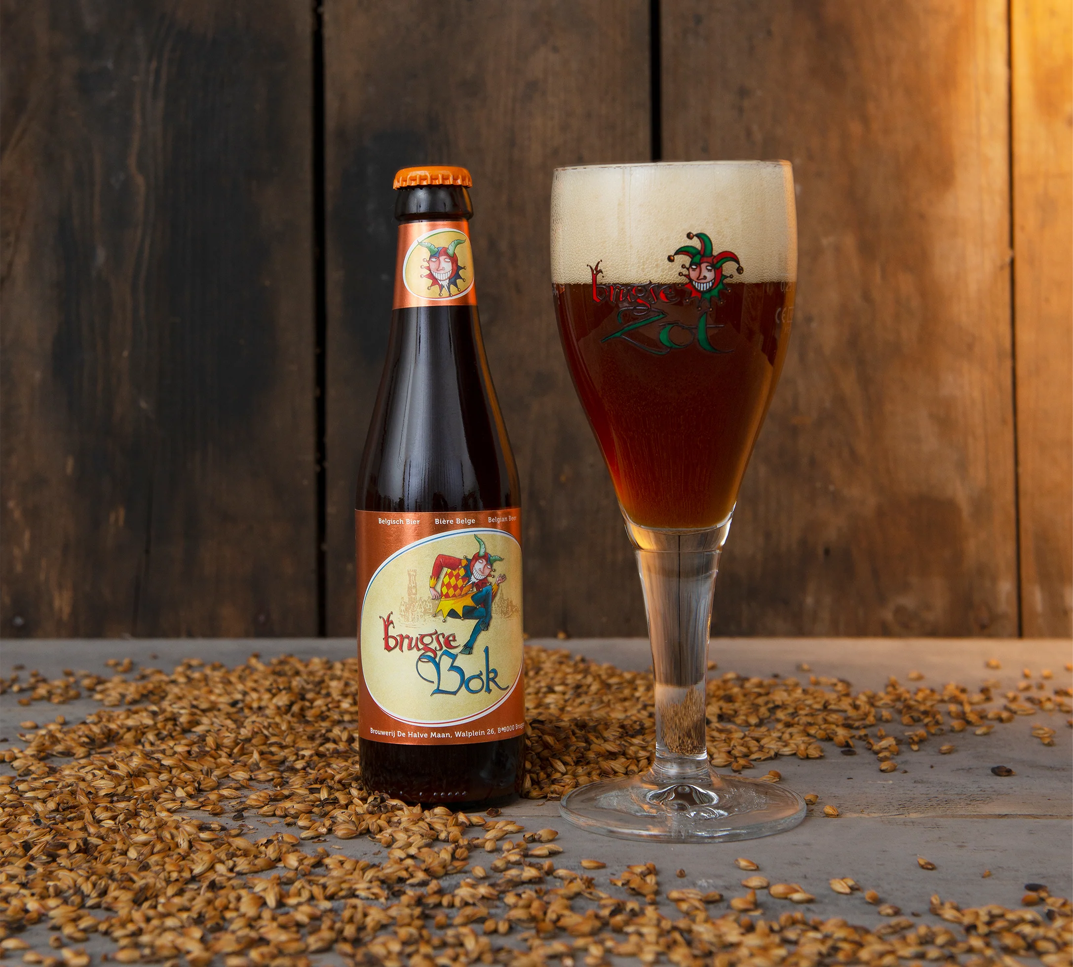 De Halve Maan Brugse Zot Bok 330ml (6.5%) - Image 2
