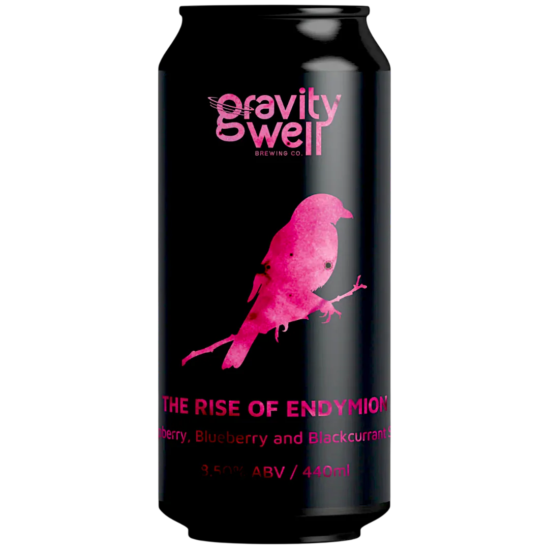 Gravity Well The Rise of Endymion Raspberry, Blueberry & Blackcurrant Sour 440ml (8.5%)