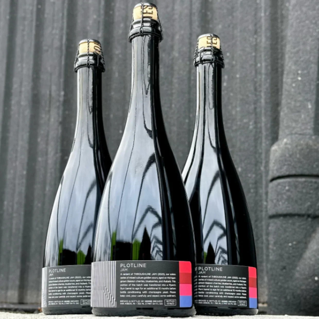 HOMES Brewery Plotline Jam Rum Barrel Aged Golden Sour 750ml (9.5%) - Image 2