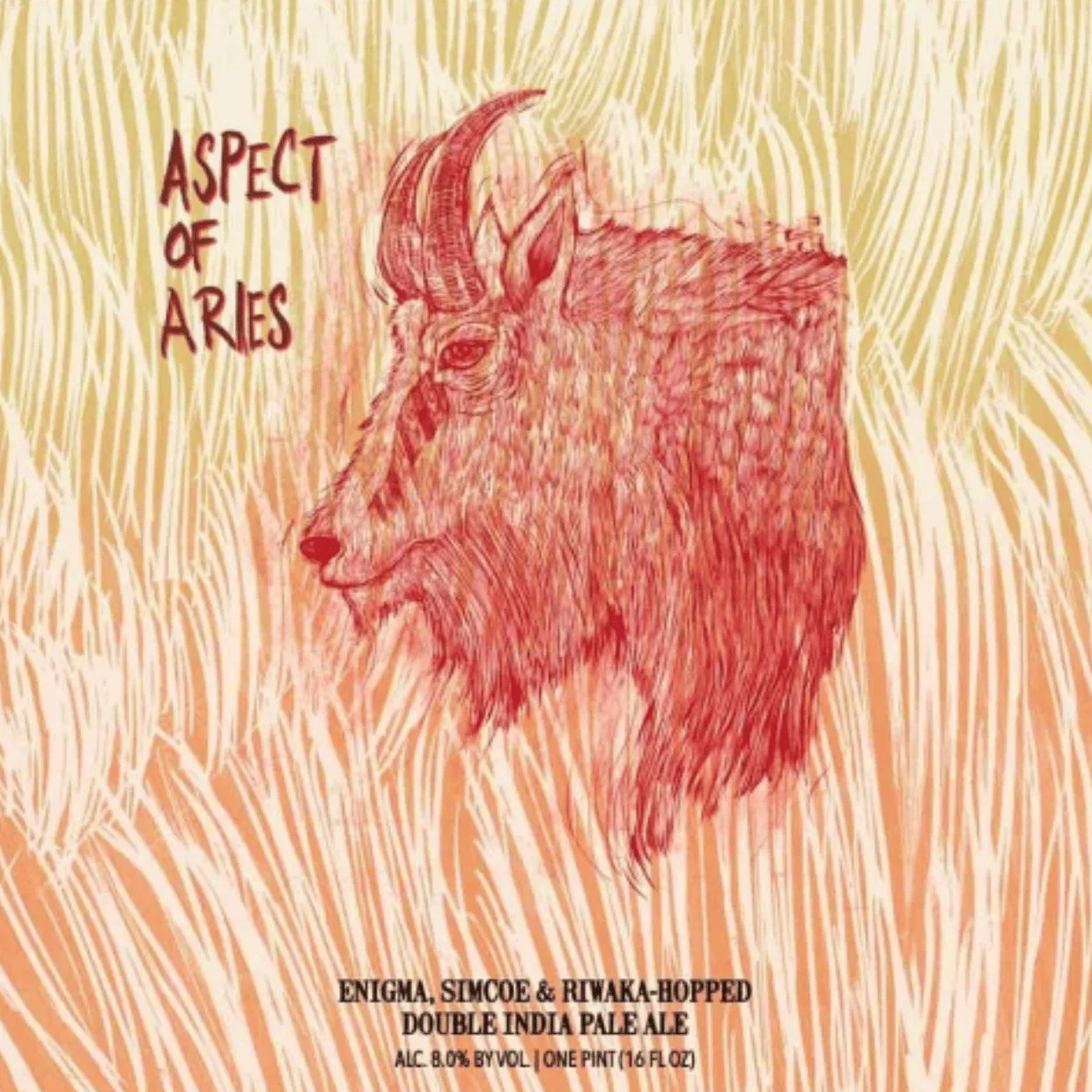 Hop Butcher Aspect of Aries DIPA 473ml (8%) - Image 2
