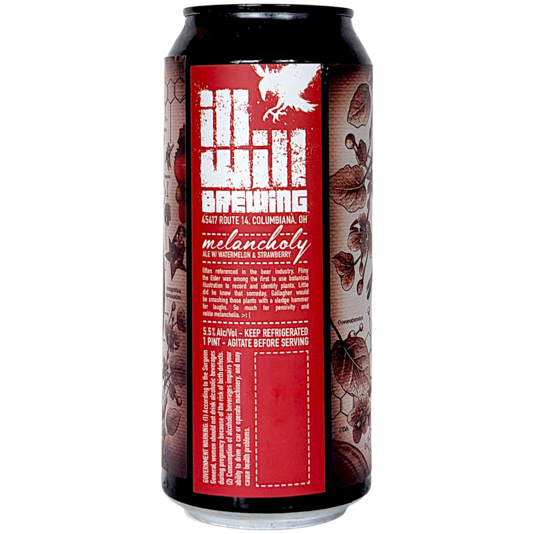 Ill Will Melancholy Fruit Smoothie 473ml (5.5%) - Image 2