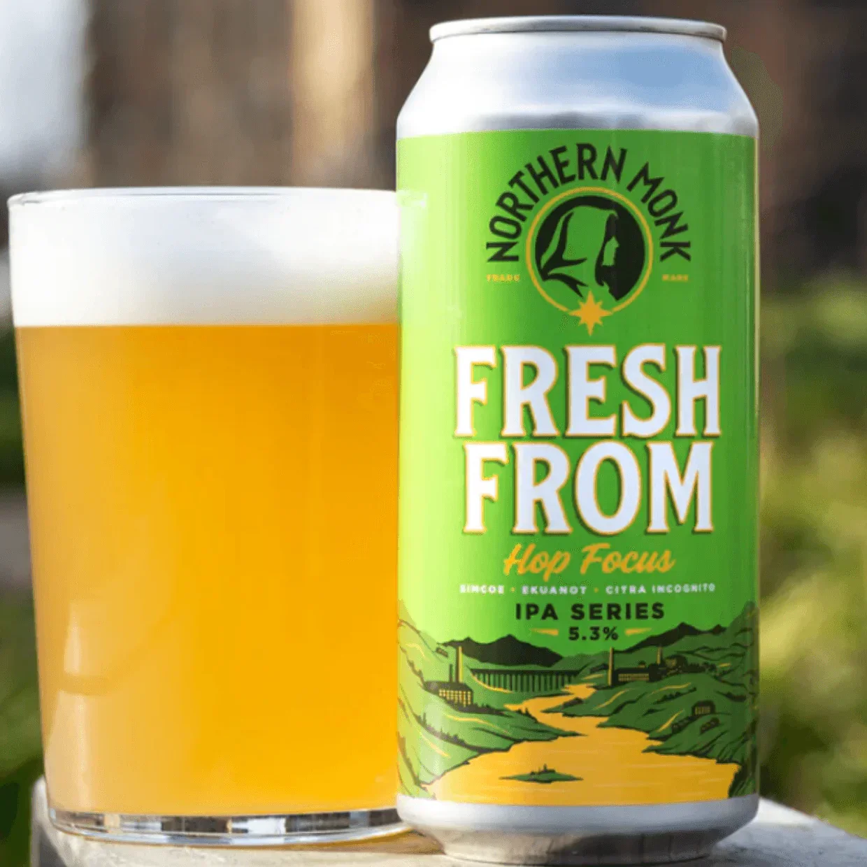 Northern Monk Fresh From Hop Focus IPA 440ml (5.3%) - Image 2
