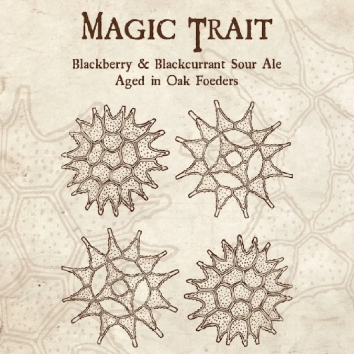 Speciation Magic Trait 2024 Blackberry & Blackcurrant Sour 473ml (8%) - Image 2